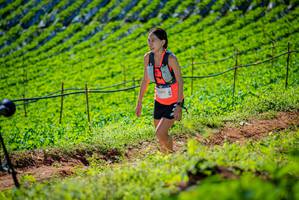 BIB: 3291
                            <button type="button" onclick="openModal(19162527)" class="btn btn-primary btn-sm float-right btn-popup" data-toggle="modal" data-target=".modal-high-quality">
                        <i class="fas fa-shopping-cart"></i> Add to Cart
                    </button>
                                            <button type="button" onclick="isThisMe(19162527, true)" class="btn btn-success btn-sm float-right btn-popup btn-isme hidden" data-toggle="tooltip" data-placement="bottom" title="นี่คือรูปของคุณใช่ไหม คลิกที่นี่เพื่อเอาเข้าอัลบั้ม">
                        <i class="fas fa-plus"></i> Add to album
                    </button>
                    <button type="button" onclick="isThisMe(19162527, false)" class="btn btn-warning btn-sm float-right btn-popup btn-isnotme hidden">
                        <i class="fas fa-ban"></i> Remove from album
                    </button>